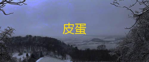 暗区突围透视物资皮蛋